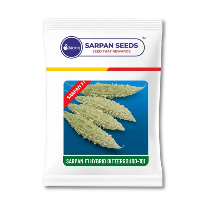 Sarpan Bitter gourd-101 Seeds