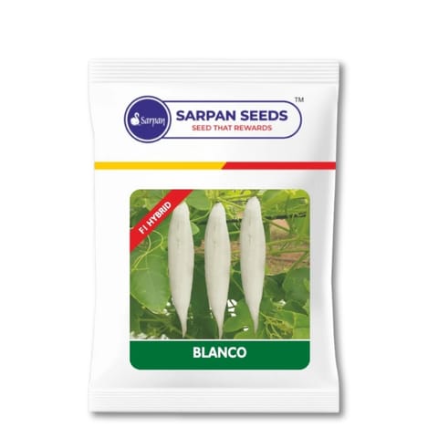 Blanco Short Snakegourd Seeds