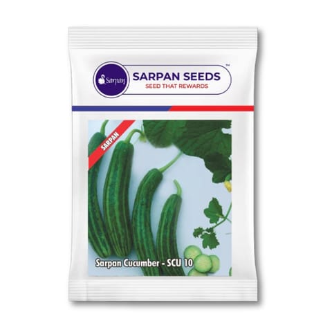 Sarpan Cucumber –SCU 10