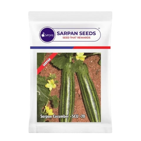 Sarpan Cucumber – SCU-20