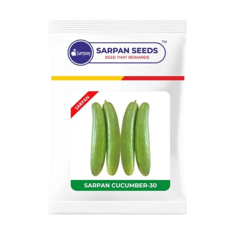 Sarpan Cucumber – SCU-30