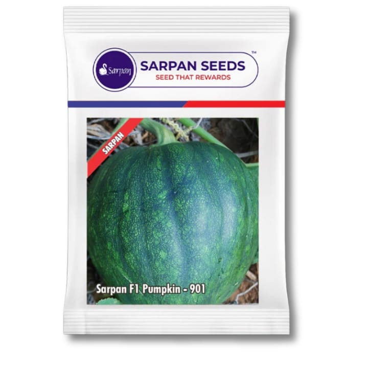 Sarpan F1 Pumpkin-901