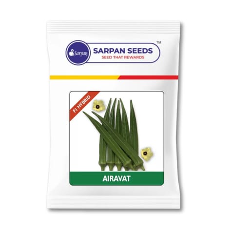 Sarpan Airavat Bhendi Seeds