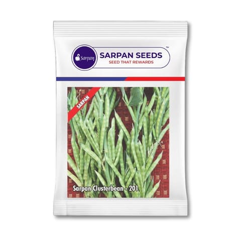 Sarpan Clusterbean-201 Seeds