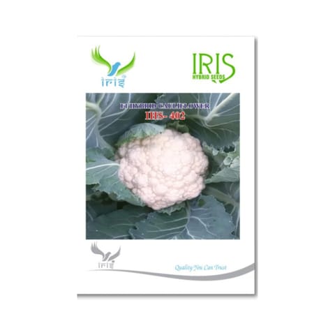 Iris IHS 402 F1 Hybrid Cauliflower Seeds