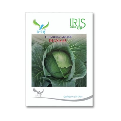 Iris Diana 65 Cabbage Seeds