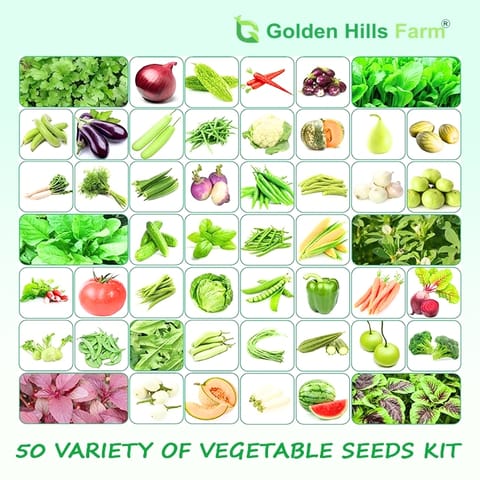 50 Varieties of Vegetable Seeds Kit