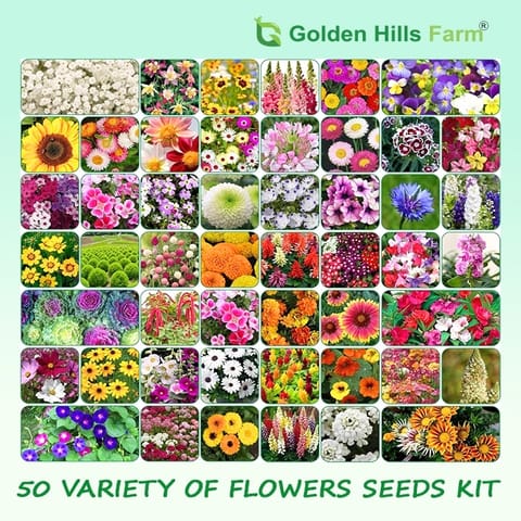 50 प्रकार के फूलों के बीज किट खरीदें