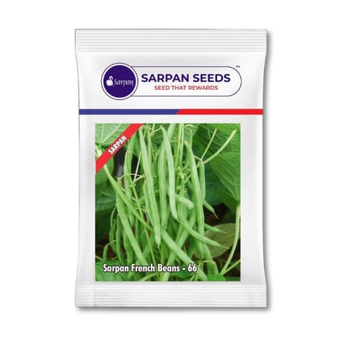 Sarpan French Beans-66