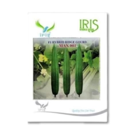 Iris Max 001 Ridge Gourd Seeds
