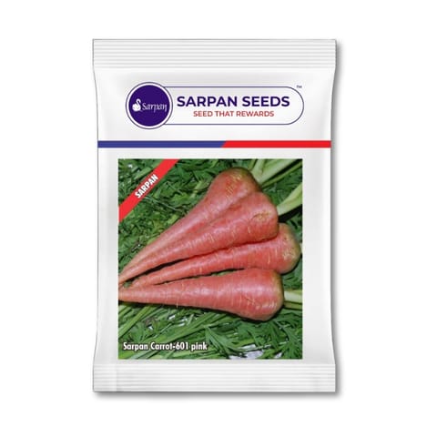 Sarpan गाजर - 601
