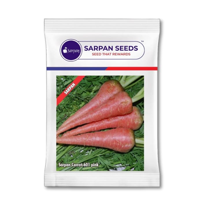 Sarpan carrot -601 Pink