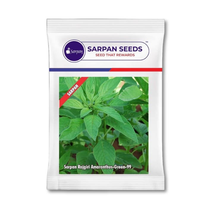 Sarpan Rajgiri Amaranthus-Green-99