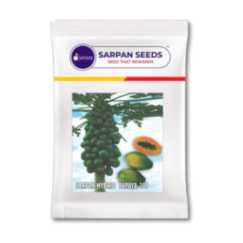 Sarpan papaya Solo-109