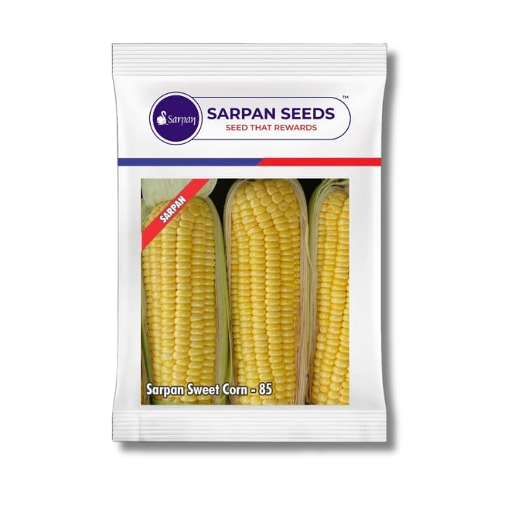 Sarpan Sweet Corn-85