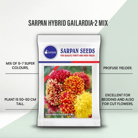 Sarpan Hybrid Gailardia -2 Mix बीज खरीदें