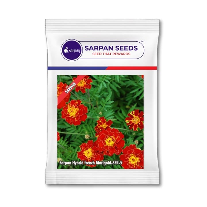 Sarpan Hybrid French marigold-SFR-5 Red