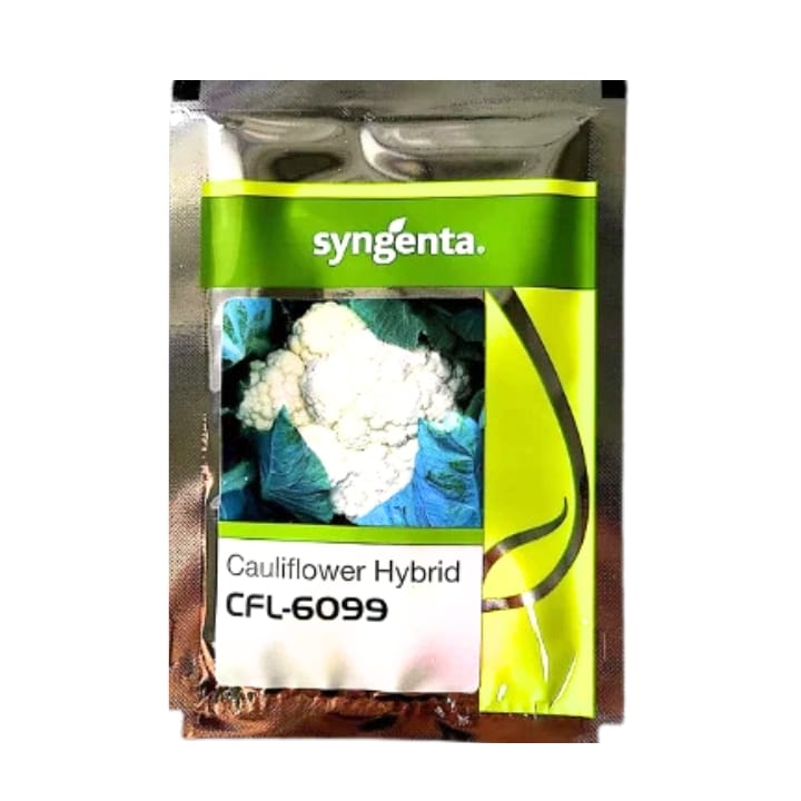 Syngenta CFL 6099 Cauliflower Seeds