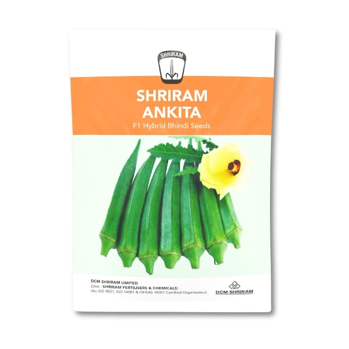 Shriram Ankita Bhindi Seeds