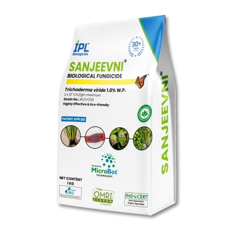 IPL Sanjeevni Biological Fungicide - Trichoderma Viride 1.0% W.P.