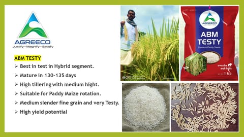 Hybrid Paddy Seeds ABM Testy