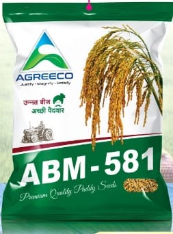 Research Paddy ABM-581