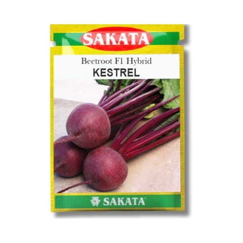 Sakata Kestrel Beetroot Seeds