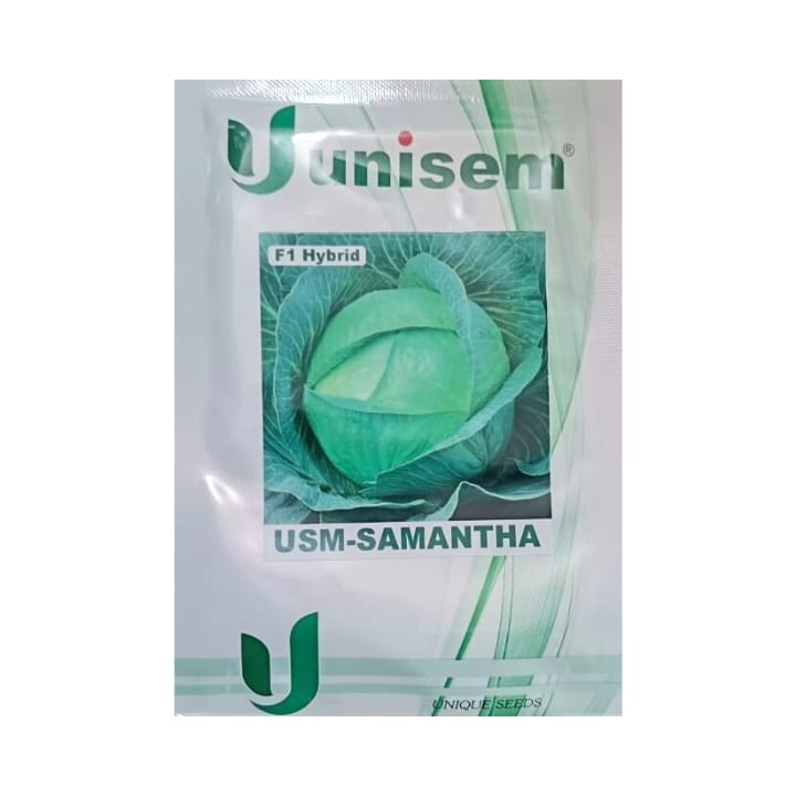 Unisem USM-Samantha Cabbage Seeds