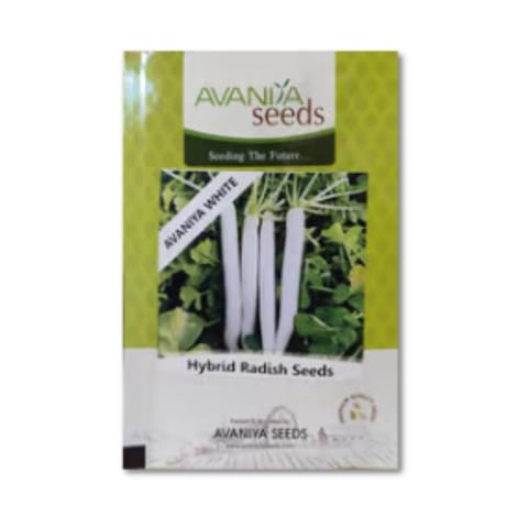 Avaniya White Radish Seeds