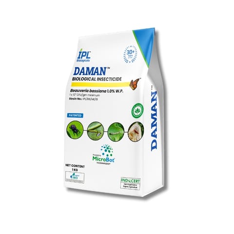 IPL Daman Powder Biological Insecticide