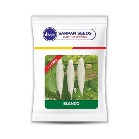 Sarpan Blanco Short Snakegourd Seeds