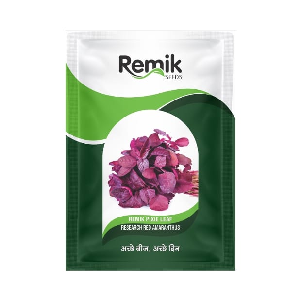 Remik Pixie Leaf Research Red Amaranthus Seeds