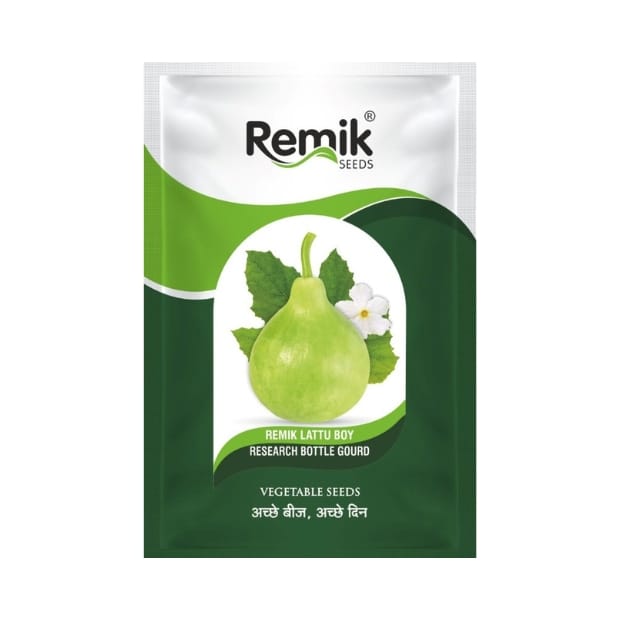 Remik Lattu Boy Bottle Gourd Seeds