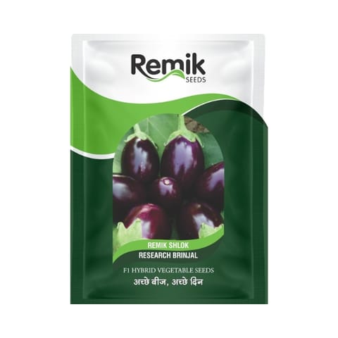 Remik Shlok Brinjal Seeds