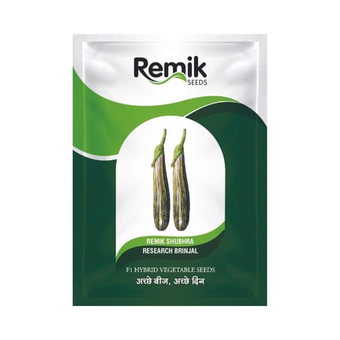 Remik Shubhra Brinjal Seeds