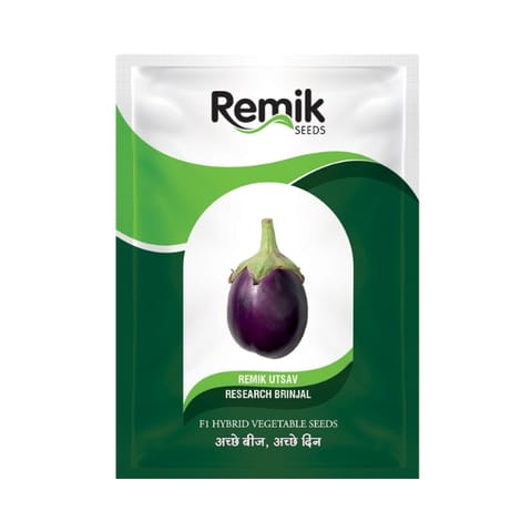 Remik Utasav Brinjal Seeds