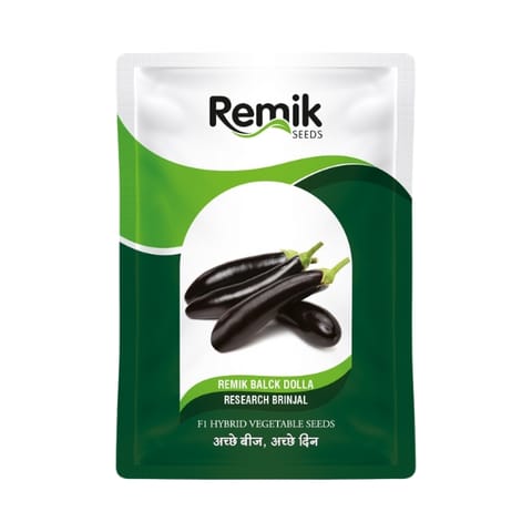 Remik Black Dolla Brinjal Seeds