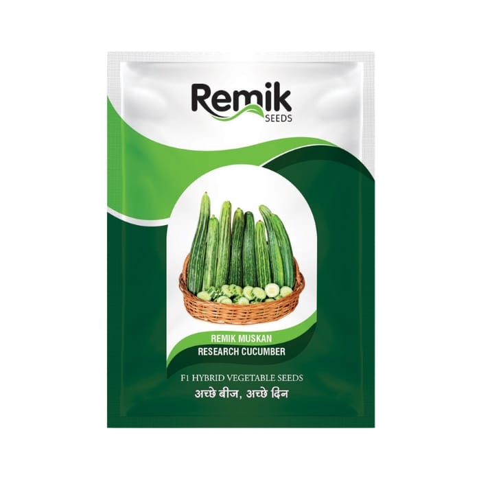 Remik Muskan Cucumber Seeds