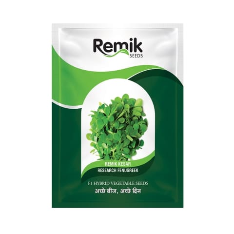 Remik Kesar Fenugreek Seeds