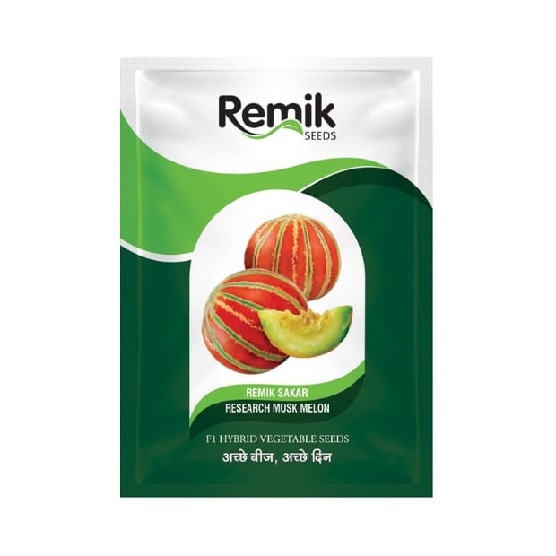 Remik Sakar Musk Melon Seeds