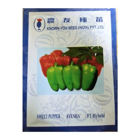 Known You Sweet Pepper Ayesha F1 Hybrid Capsicum Seeds