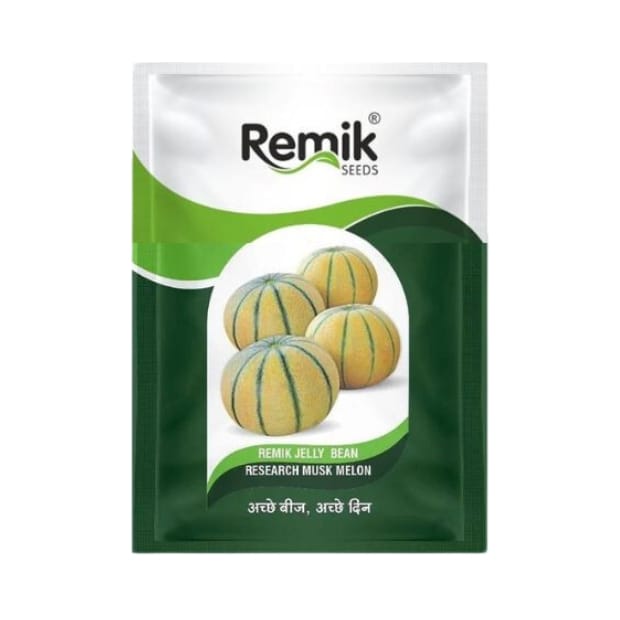 Remik Jelly Bean Musk Melon Seeds