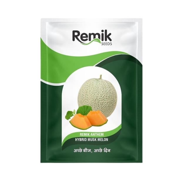 Remik Anthem Musk Melon seeds