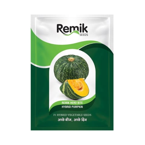 Remik Hero Bite Pumpkin Seeds