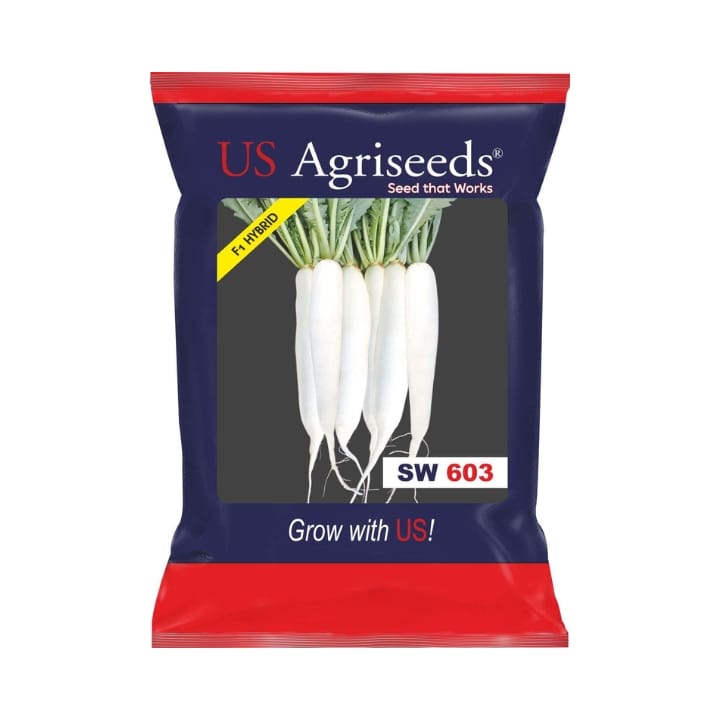 US Agriseeds SW 603 Radish Seeds