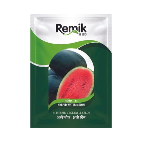 Remik 44 (SHIVLING) Watermelon Seeds