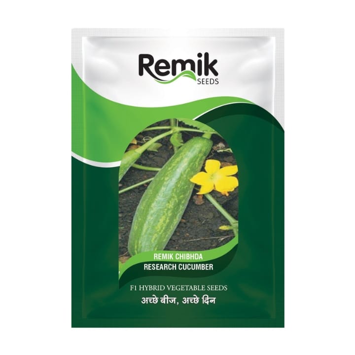 Remik Chibhda Cucumber Seeds