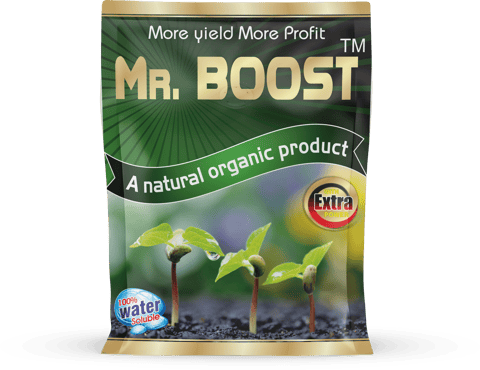 Bhumi Mr.Boost Plant Growth Promoter