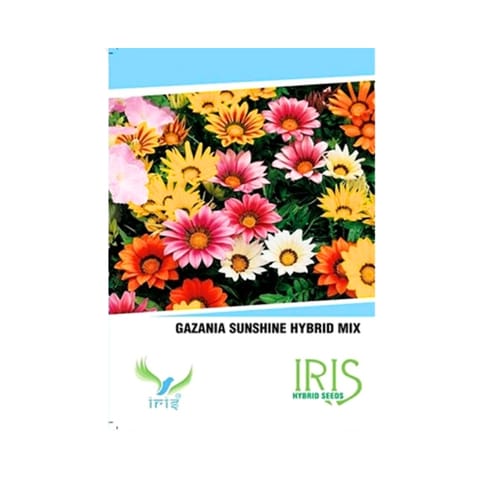 Iris Imported Gazania Sunshine Mix Flower Seeds