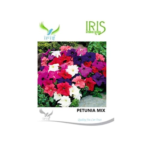 Iris Imported Petunia Mix Seeds